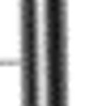 RSX3 GIRIS MILI (125 CC)