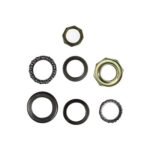 RS5 GIDON RULMAN SETI