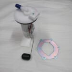 RM5X RM5 YAKIT POMPASI