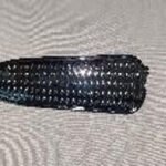 RS6 ON PANEL DEKORATIF IC