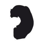 EV1 ON IC DAVLUMBAZ SAG