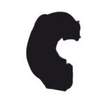 EV1 ON IC DAVLUMBAZ SOL