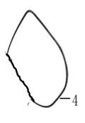2H994-1003A-00.jpg RM5 VE RM5X KÜLBÜTÖR KAPAK CONTASI (170 CC) - Görsel 1